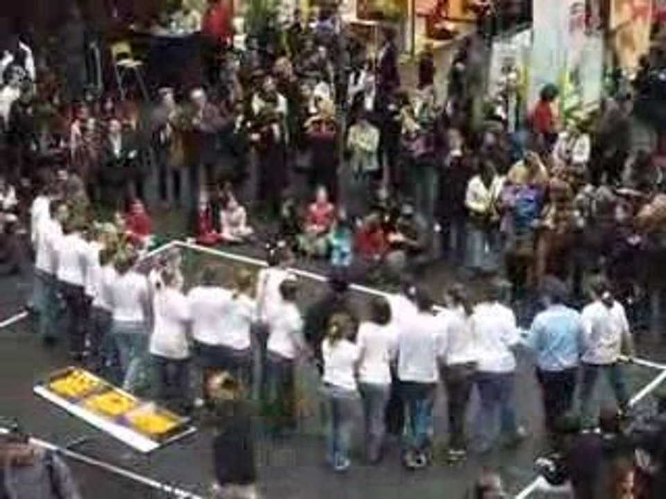 Nantes : Ram Dam 2009