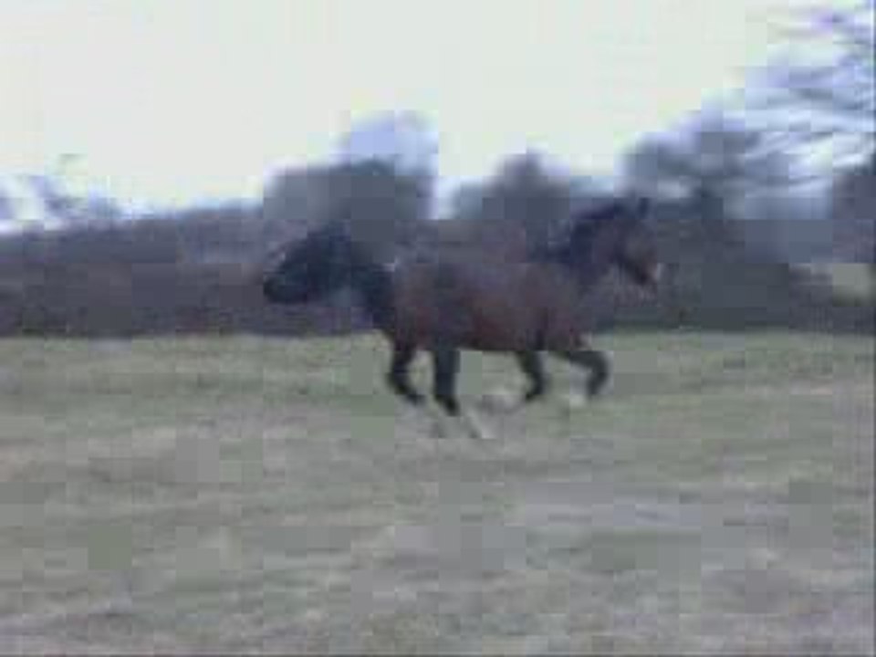 Etoile que j'aime...