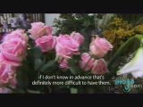 Eco Florists: Earth Friendly Flower Bouquets