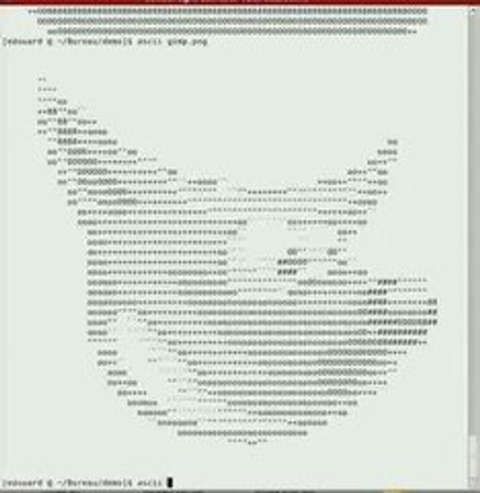 Image_ascii_demo