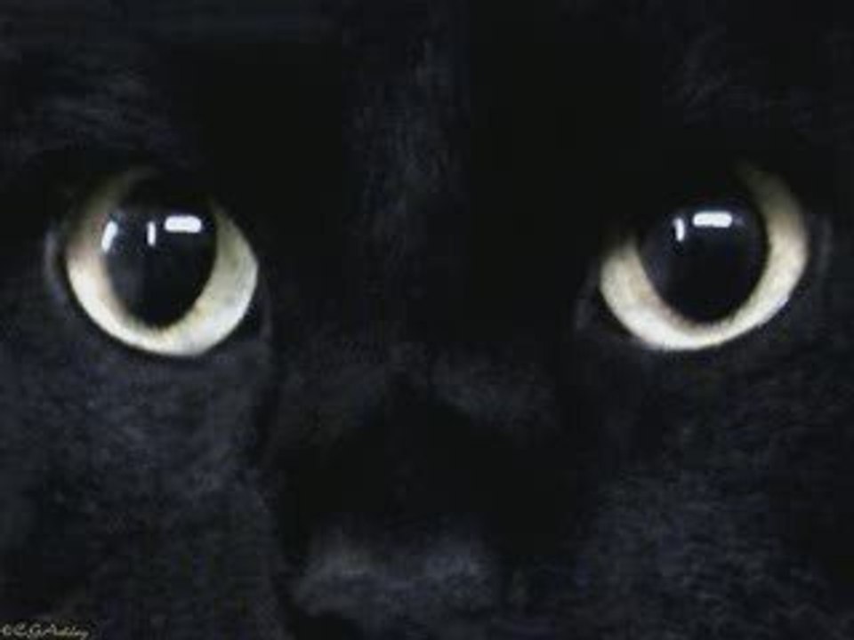soul