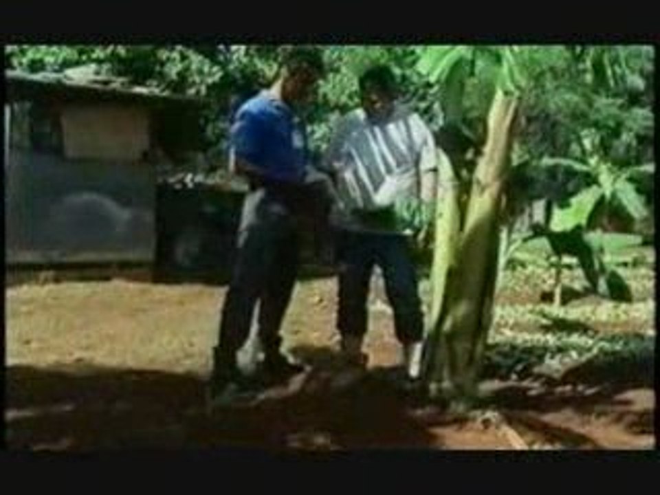 Agricultura Urbana en Cuba : cultivo de flores