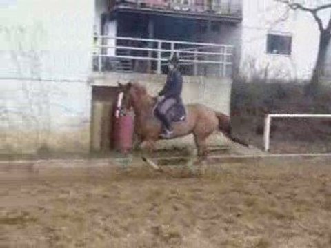 Perle,longé puis montée