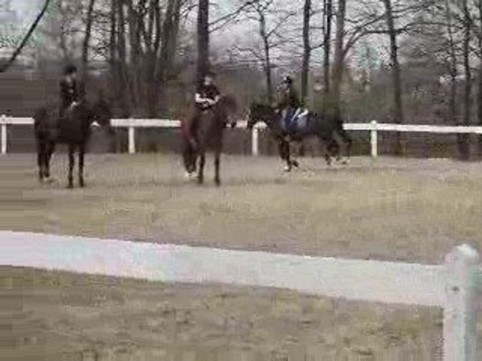 Polux & moi