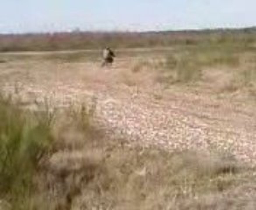 MOI NICO ET MON ZINC LOLO