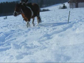 Séance dans la neige