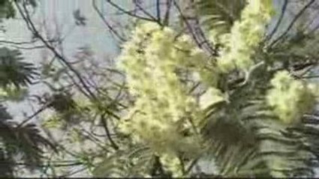 Etre ou ne pas naitre (Jomusic)