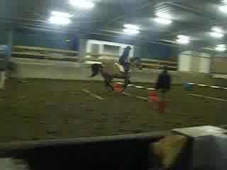 Aramis et Moi  . Cour du samedi .