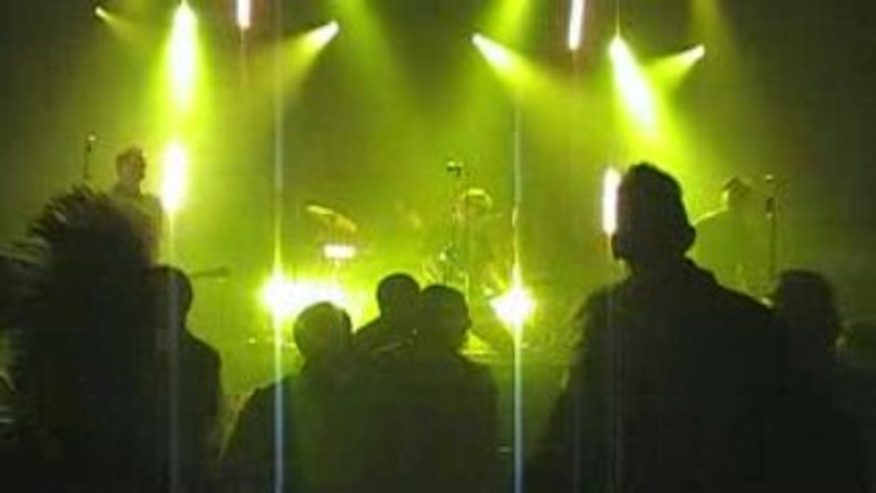 Charly fiasco-ring of fire