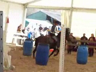 102_1564_(converted)