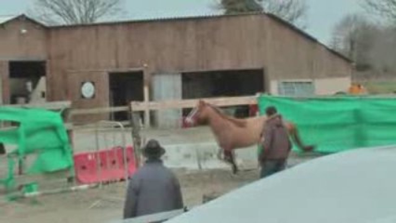ROZENN DE TALREST début sauts en liberté