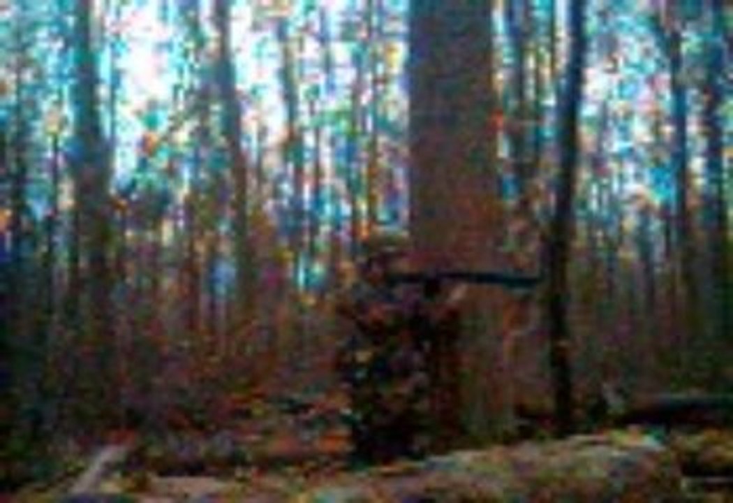Partit d'airsoft 2