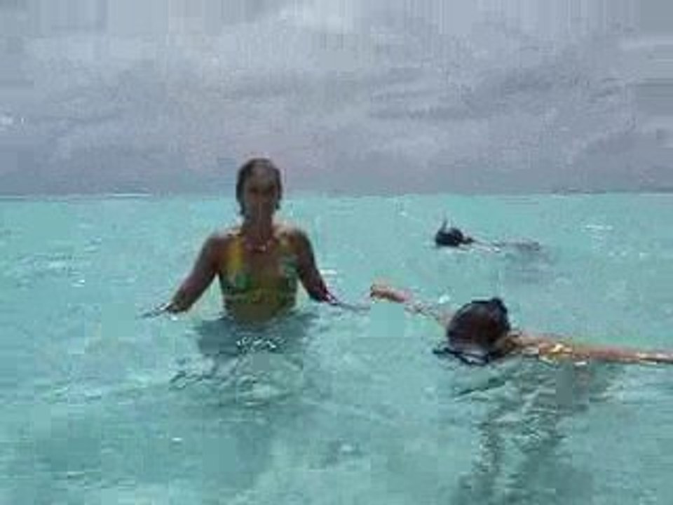 Raies a Moorea