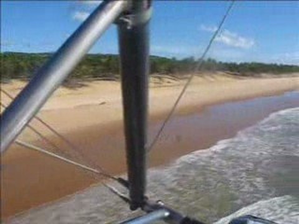 Rase mottes plage cocotiers