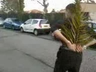 alex et le palmier 2