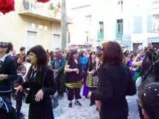 carnaval de ceret  2009