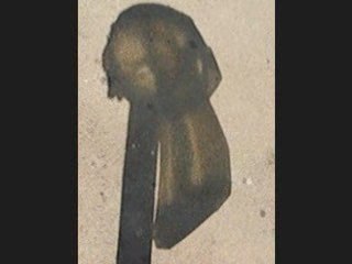 Intervention urbaine