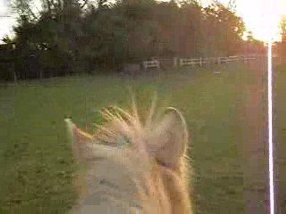 Pilou a cru pré gaga