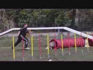 Miramas 2emedeg baxter