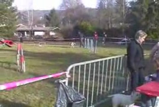 Alaska Open Agility Cote St Andre 14/03/2009