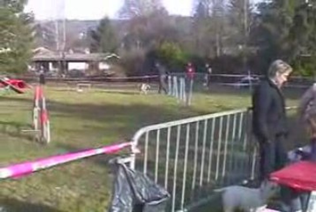 Alaska Open Agility Cote St Andre 14/03/2009