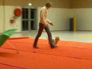 OBR entrainement janv09 Régine-canelle