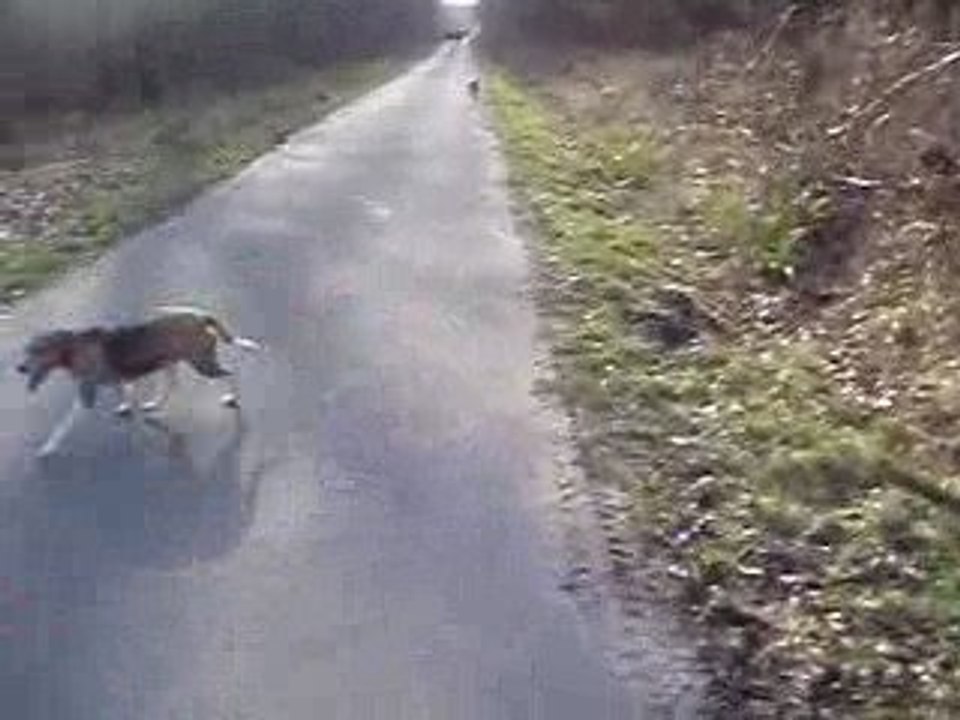 Plailly Mars 2009 016