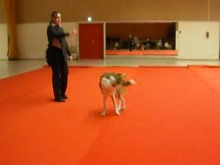 OBR entr. janv09 Alex-Djena