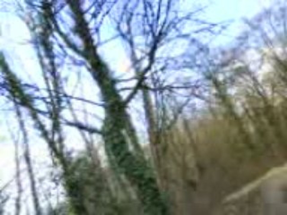 MOV02322