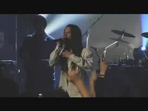 Danakil Champs de roses (live)