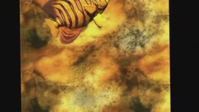 Photographie de Jean-Francois Dupuis