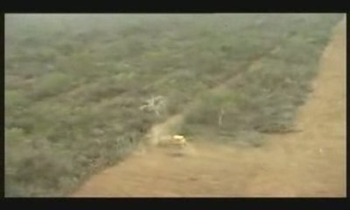 Argentine Deforestation OGM Pesticides