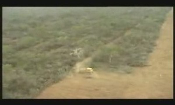 Argentine Deforestation OGM Pesticides