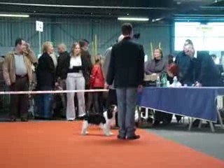 ckc Montluçon 2009 1