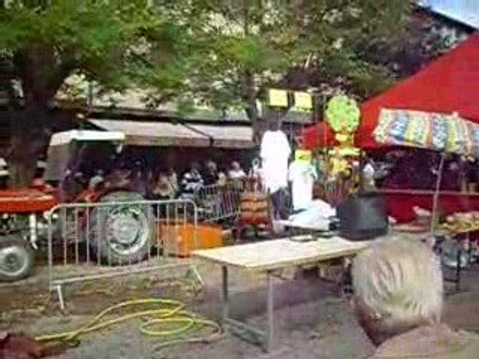 FETE DE LA POMME A MIREPOIX