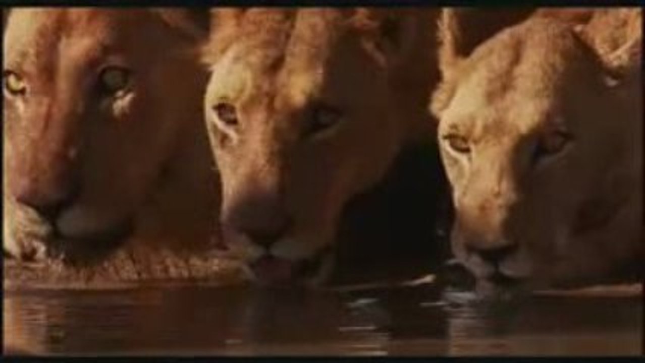Earth (2009)-Trailer HD-Nature Documentary.