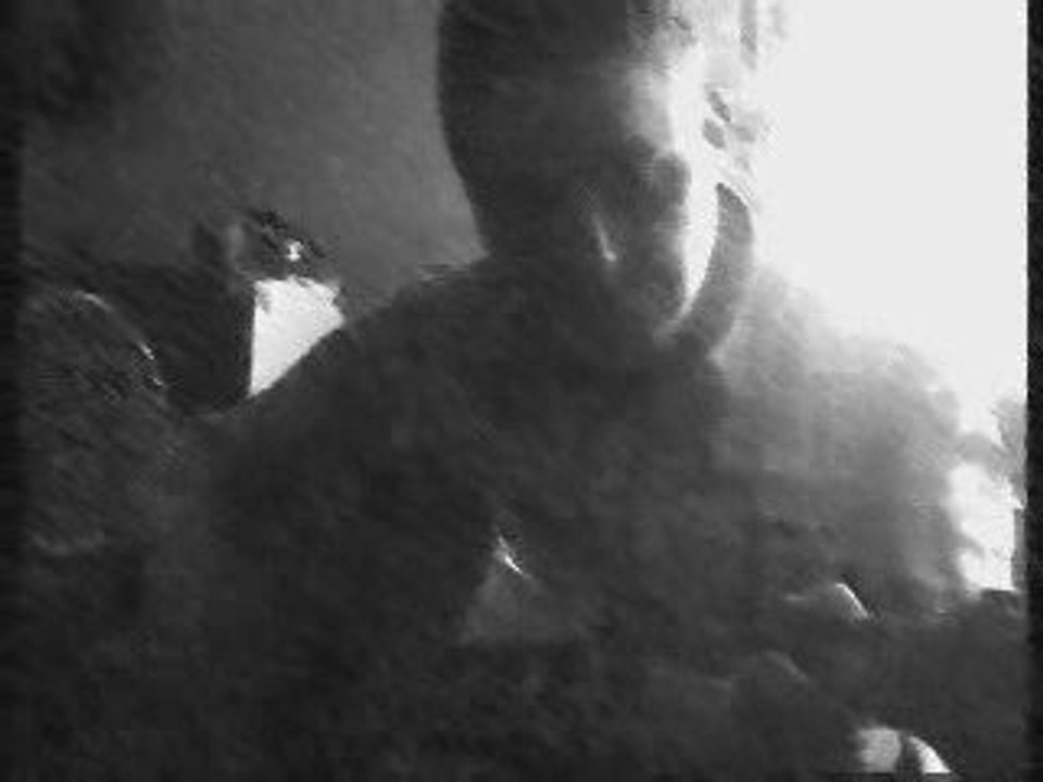 Crying, Waiting, Hoping  (Buddy Holly cover)