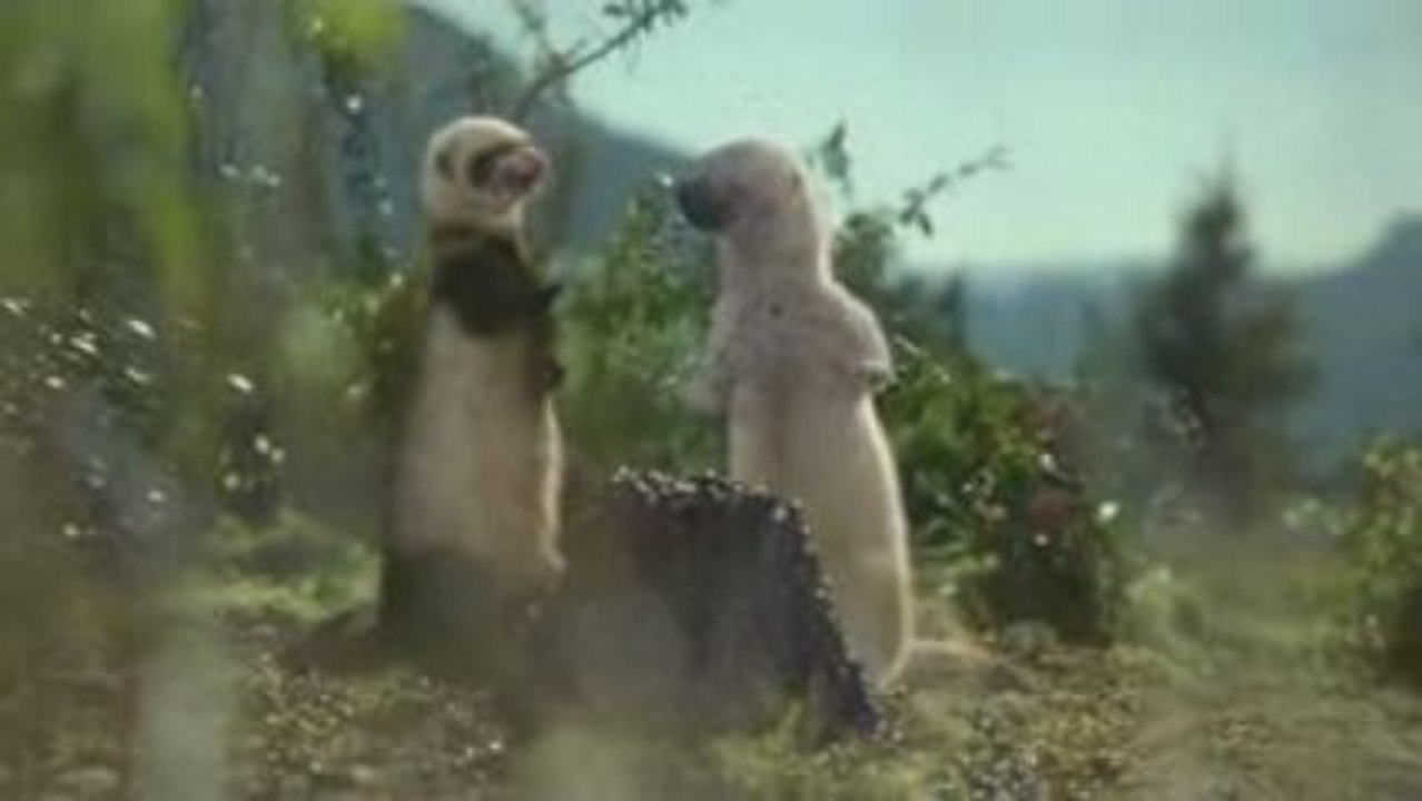 Pub Oxo (française des jeux)