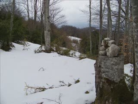 Tour de la montagne de l'Echarasson (Vercors centre)