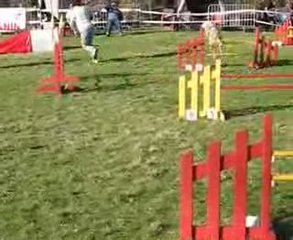 Villeneuve sur lot maybe jump   03.09(1)