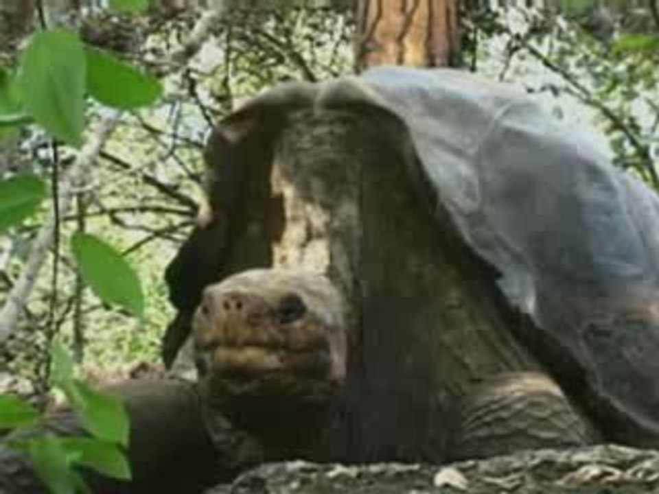 Prince Charles visits Galapagos Islands