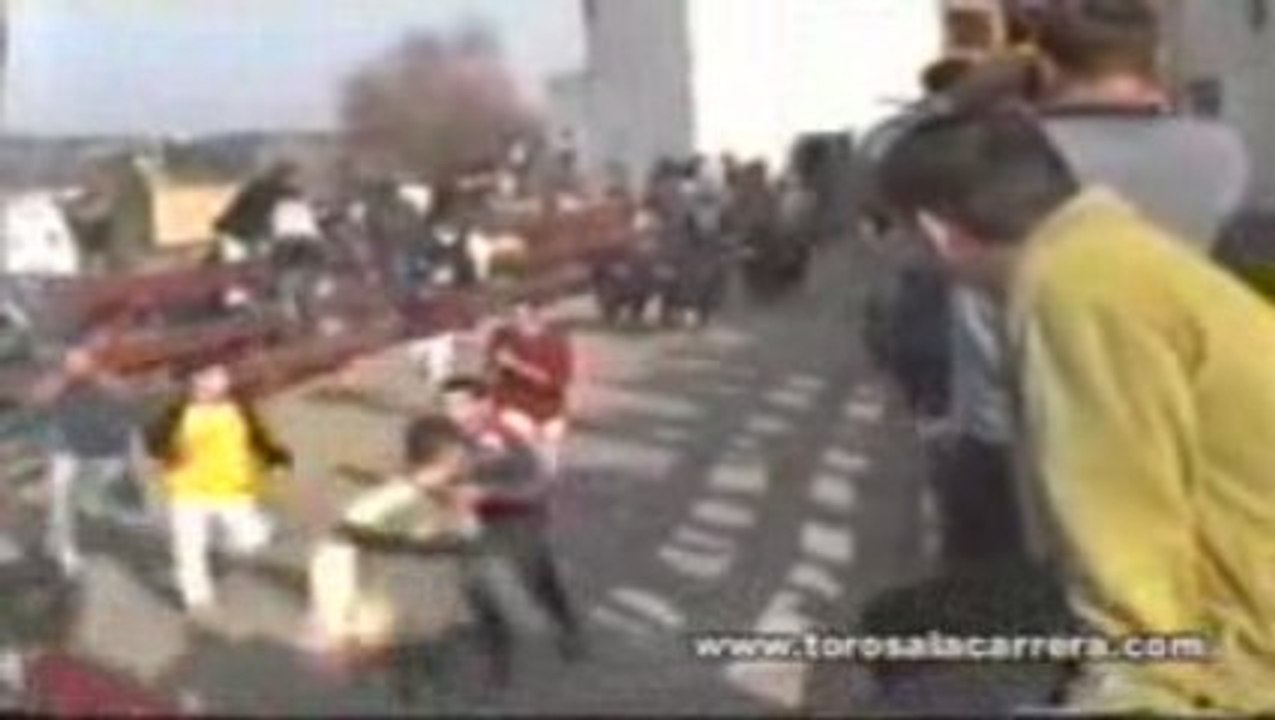 Encierros en Valdemorillo 2004