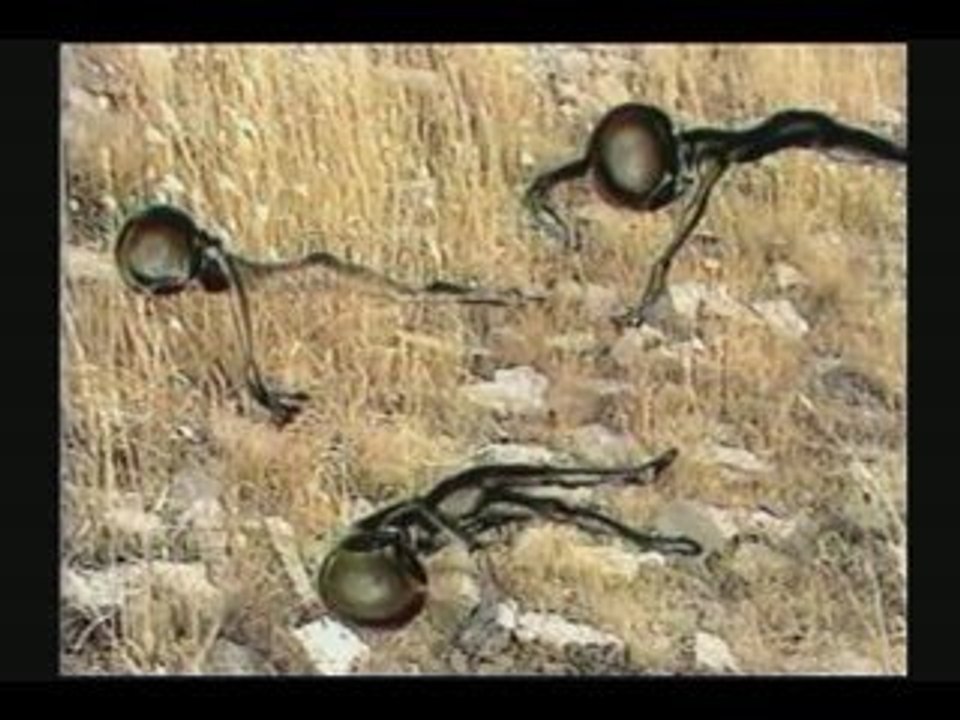 Dossiers Ovni 03 - Le Cas Roswell 4/5