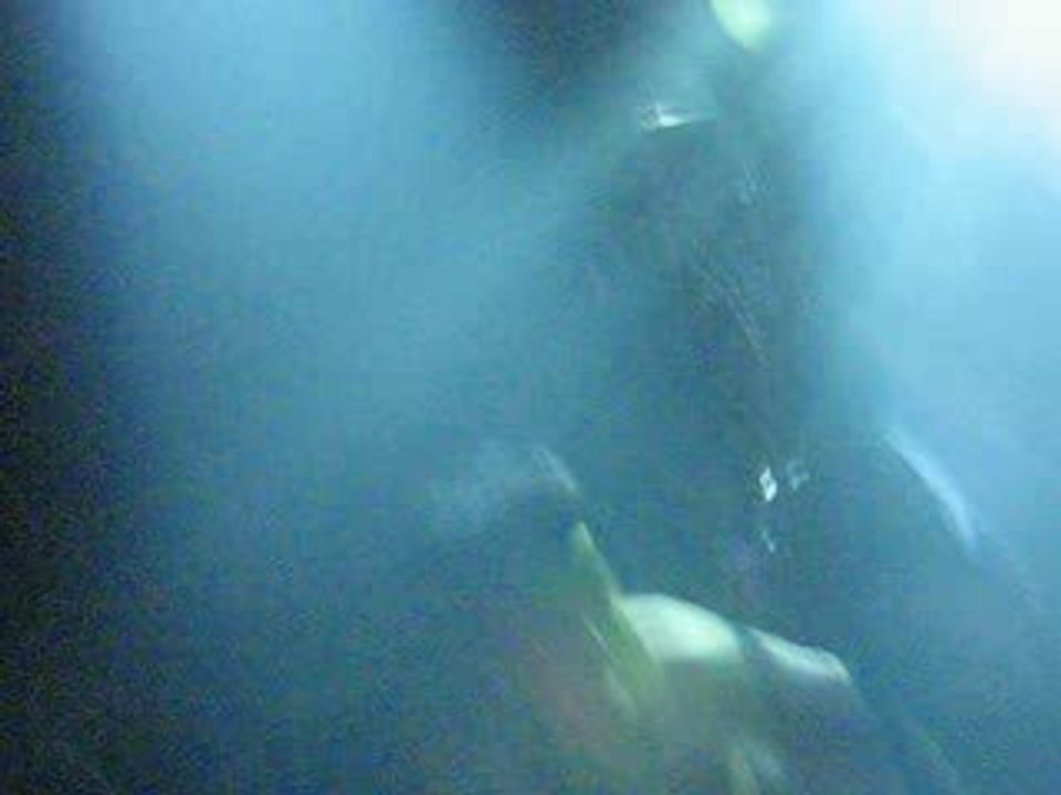 PUnish Yourself 13/03/09