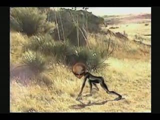 Dossiers Ovni 03 - Le Cas Roswell 5/5