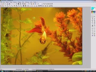 Images format web