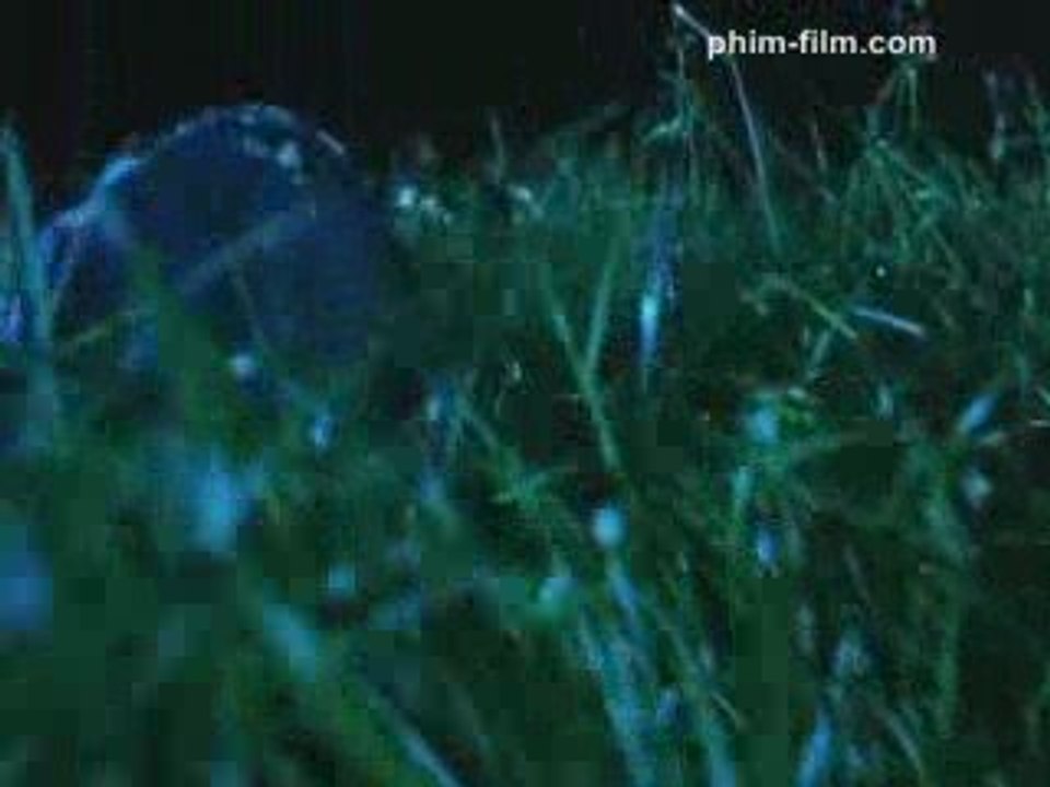 Movie_00_(QUY CUNG PHAI DONG LONG)