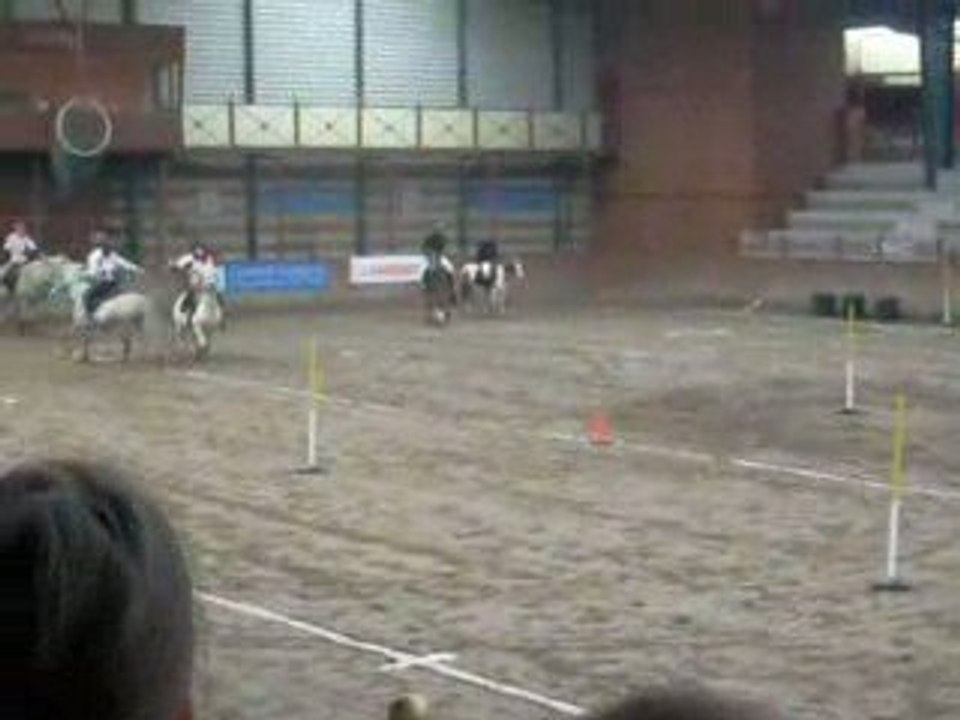 2 drapeaux Choupi