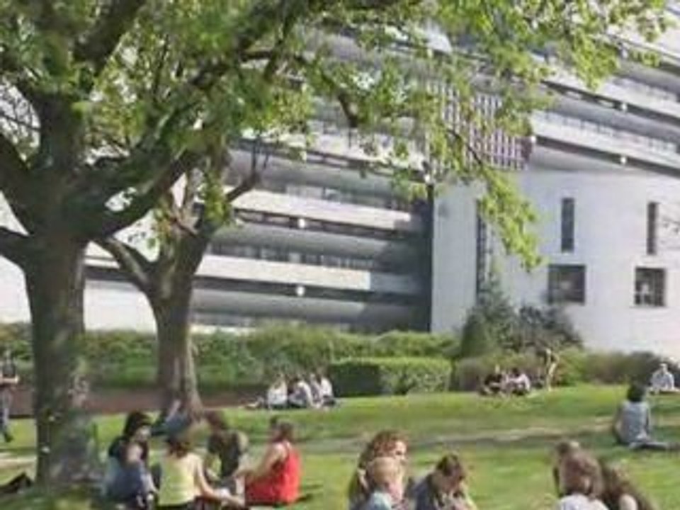LLM international law