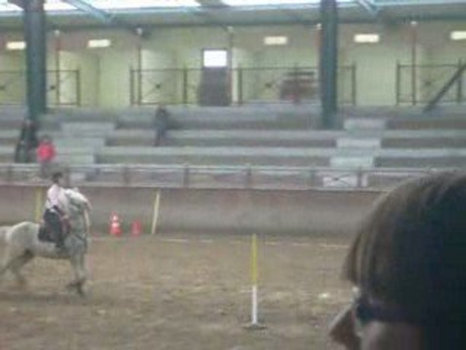 5 drapeaux
